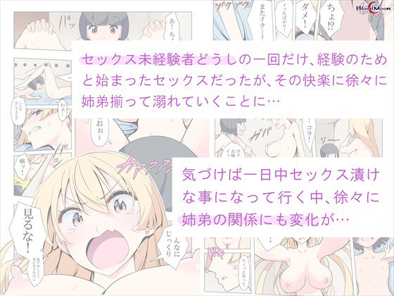 お姉ちゃんお願い！1回でいいからセックスさせて！_2