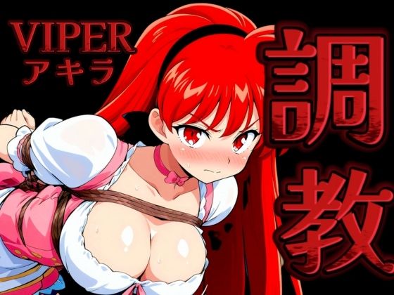 調教緊縛 VIPERアキラ