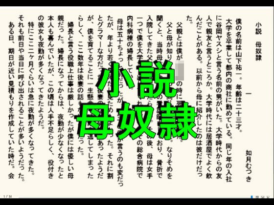 小説  母奴●